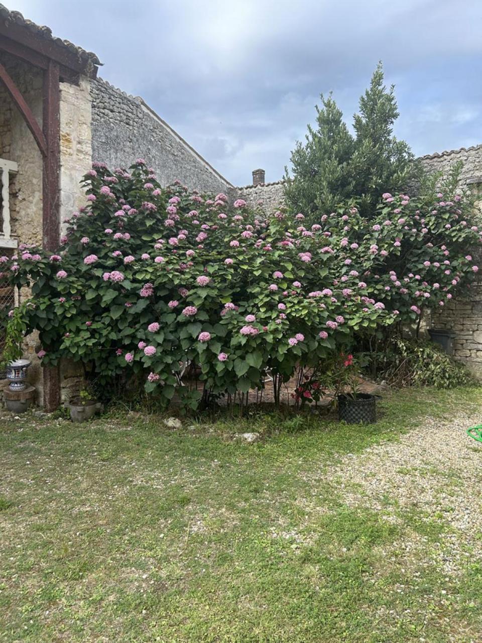 Chambres Et Table D'Hotes Maison Garesche Nieulle-sur-Seudre Exterior foto